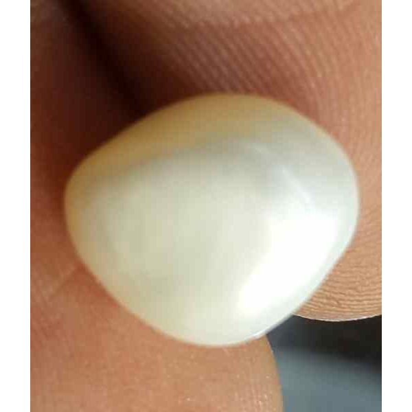 5.07 Carat Venezuela Pearl 10.63 X 9.09 X 8.19 mm