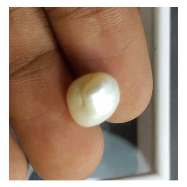 5.07 Carat Venezuela Pearl 10.63 X 9.09 X 8.19 mm