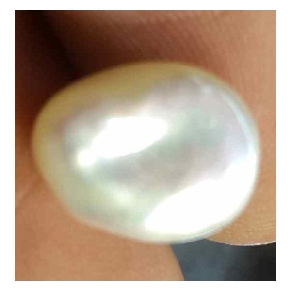 4.82 Carat Venezuela Pearl 11.13 X 8.88 X 7.77 mm