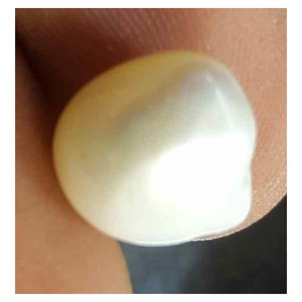 5.22 Carat Venezuela Pearl 10.36 X 10.01 X 7.40 mm