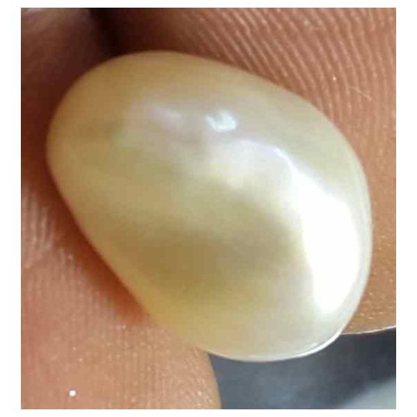 5.62 Carat Venezuela Pearl 12.12 X 8.95 X 8.59 mm