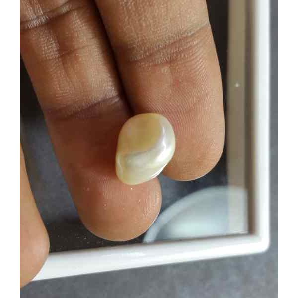 5.62 Carat Venezuela Pearl 12.12 X 8.95 X 8.59 mm