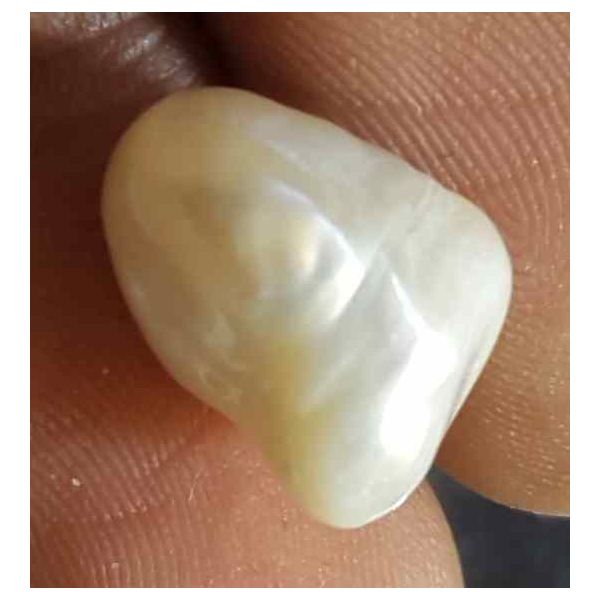 6.02 Carat Venezuela Pearl 11.93 X 8.11 X 8.31 mm