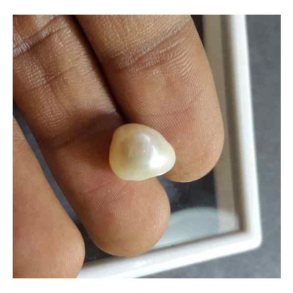 5.42 Carat Venezuela Pearl 10.95 X 9.13 X 7.98 mm