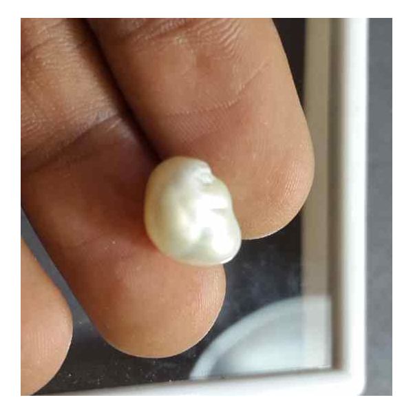 5.62 Carat Venezuela Pearl 11.42 X 8.46 X 7.73 mm