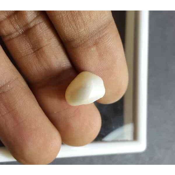 6.07 Carat Venezuela Pearl 11.68 X 8.63 X 9.12 mm