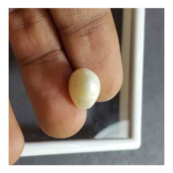 6.07 Carat Venezuela Pearl 11.68 X 8.63 X 9.12 mm