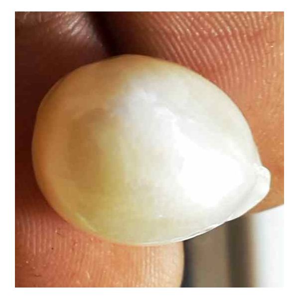 11.67 Carat Venezuela Pearl 14.98 X 11.04 X 9.42 mm