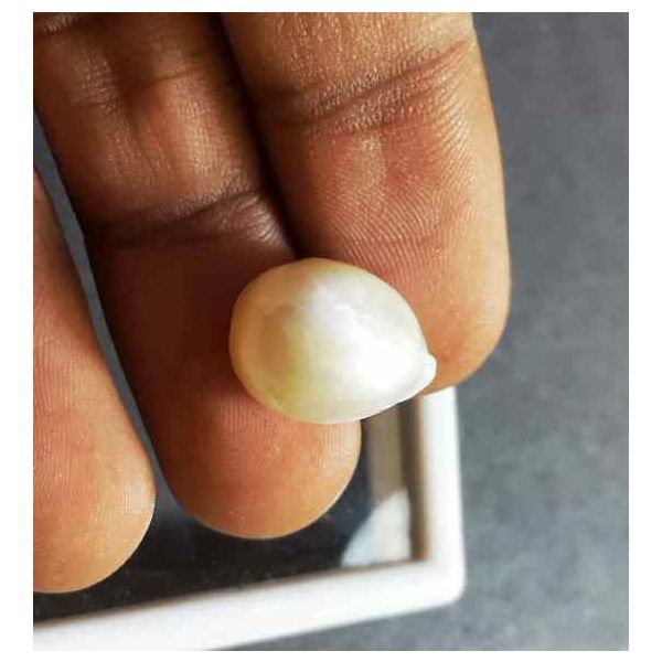 11.67 Carat Venezuela Pearl 14.98 X 11.04 X 9.42 mm