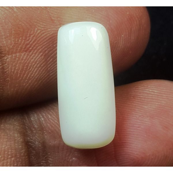 6.14 Carats Natural White Coral 16.60 x 7.35 x 5.32 mm
