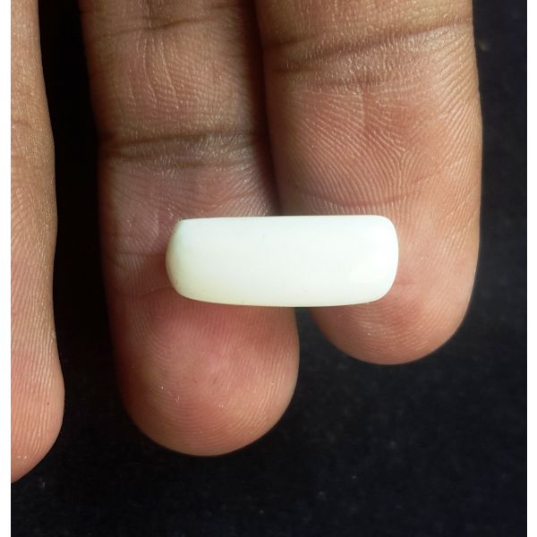 6.24 Carats Natural White Coral 17.23 x 6.80 x 5.80 mm