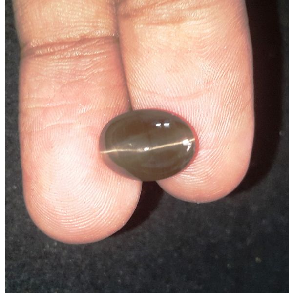 6.00 Carats Natural Black Cat's Eye Silliminite 11.51 x 8.64 x 6.99 mm