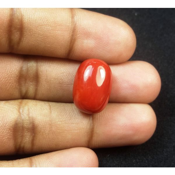19.14 Carats Natural Italian Red Coral 17.90x12.55x9.50mm