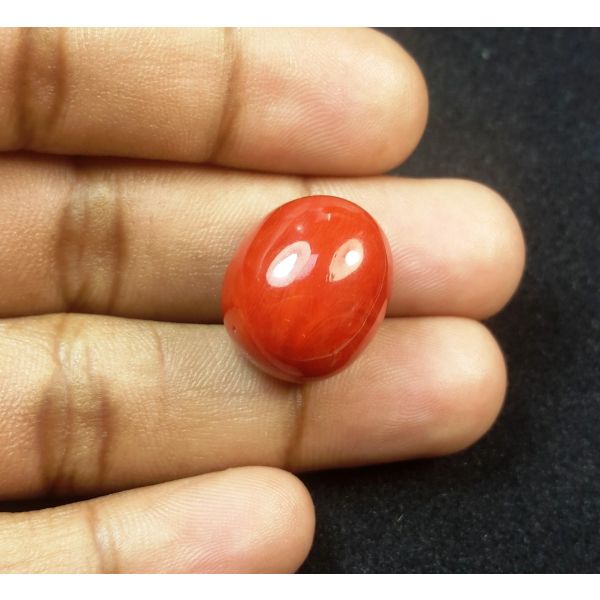 29.09 Carats Natural Italian Red Coral 18.64x16.04x11.74mm