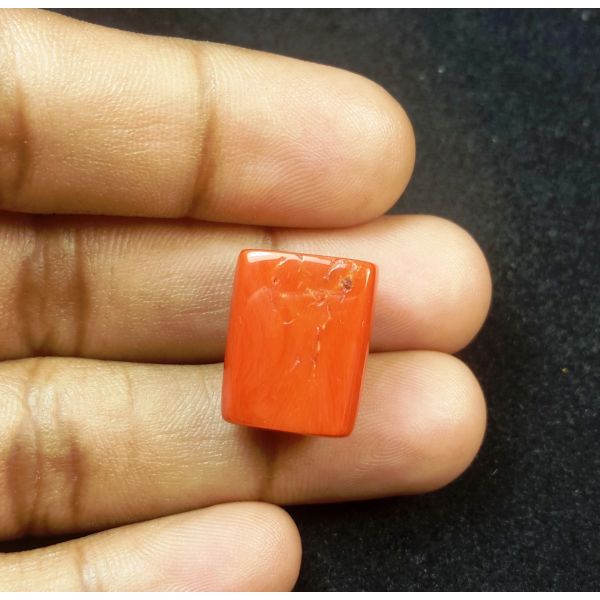 19.92 Carats Natural Italian Red Coral 18.40x13.04x9.43mm