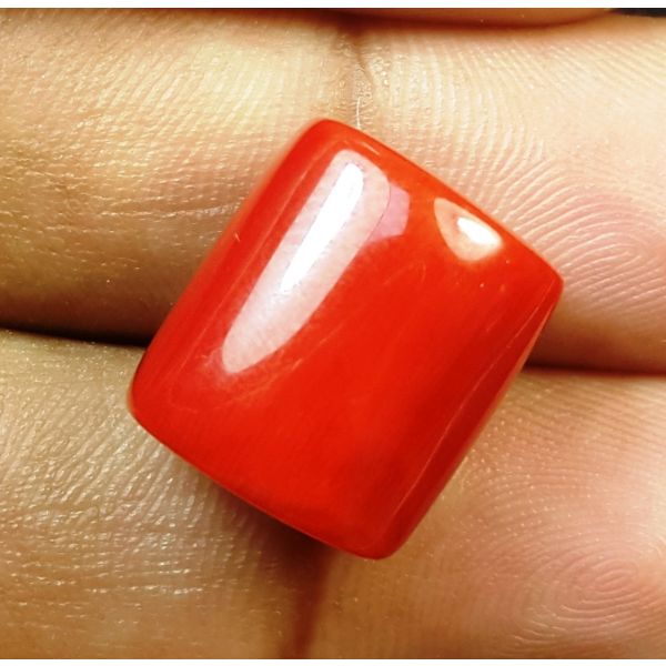 18.49 Carats Natural Italian Red Coral 14.38x12.93x10.48mm
