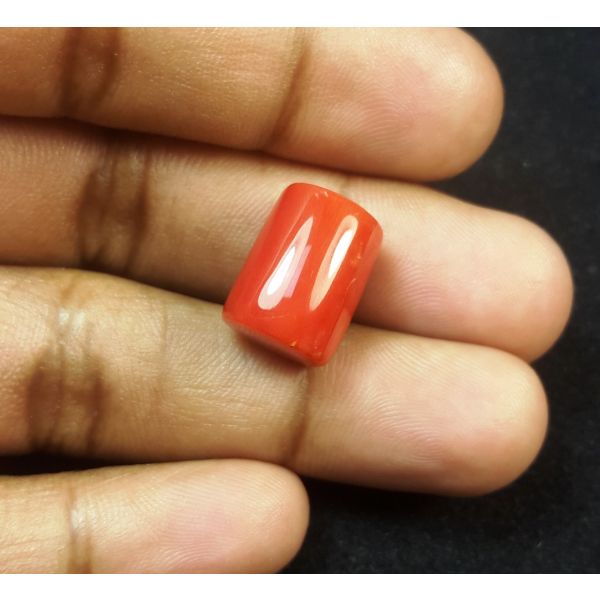 15.51 Carats Natural Italian Red Coral 14.12x11.02x9.50mm