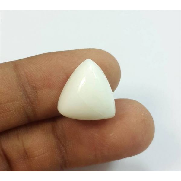 10.9 Carats Italian White Coral 16.24 x 15.08 x 4.84 mm