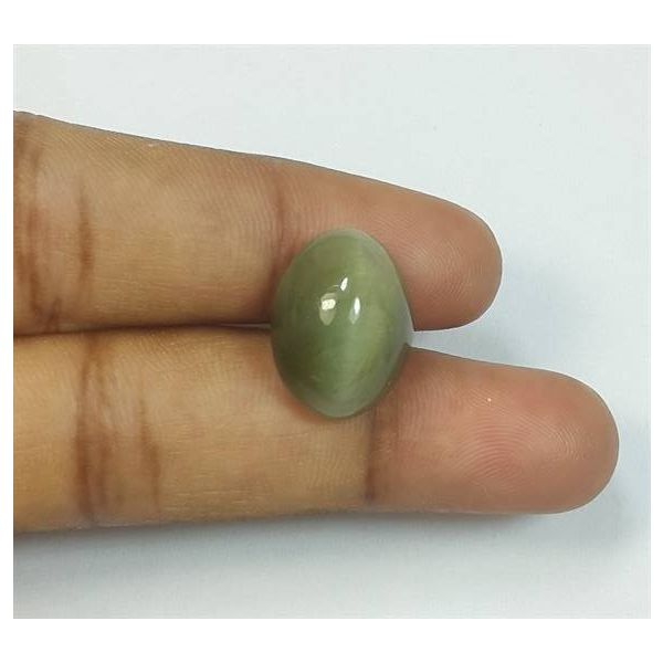 10.77 Carats Cat's Eye 15.23 x 12.09 x 8.55 mm