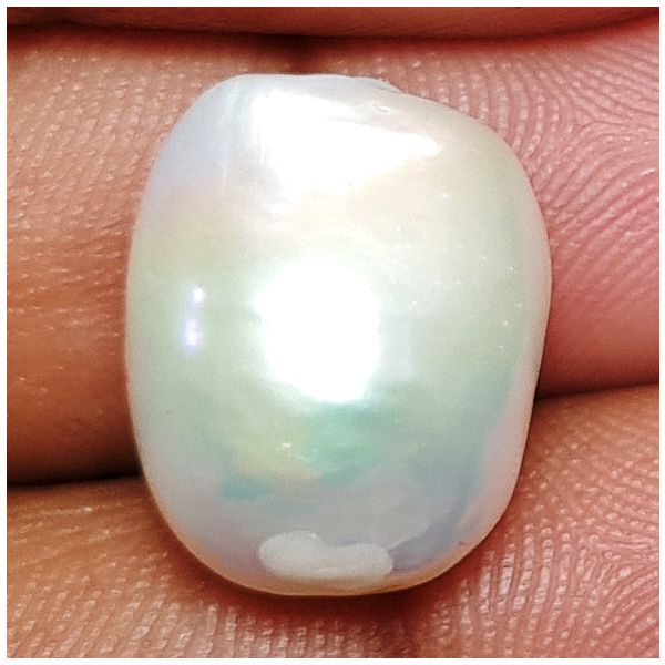 16.34 carats Natural White Venezuela Pearl 15.18x12.20x11.96 mm