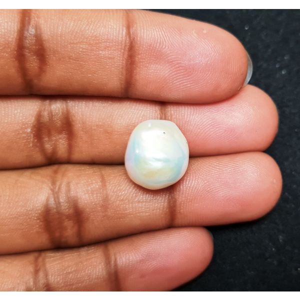 14.08 carats Natural White Venezuela Pearl 13.94x12.15x12.40 mm