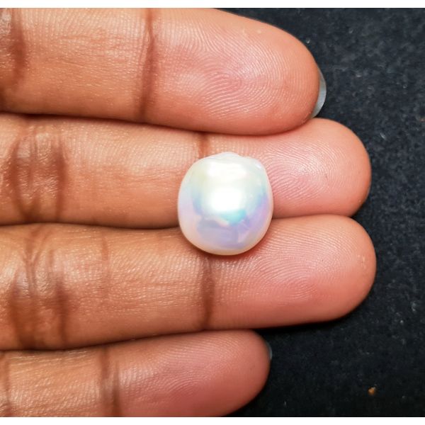 15.67 carats Natural White Venezuela Pearl 13.80x12.34x12.91 mm