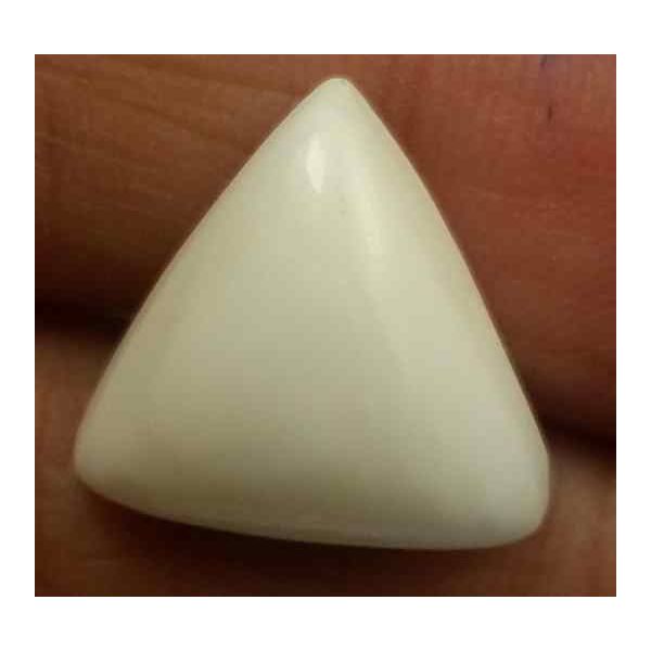 8.46 Carats Italian White Coral 12.59 x 12.34 x 7.41 mm