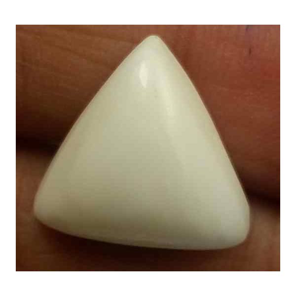 11.72 Carats Italian White Coral 14.36 x 13.34 x 8.97 mm