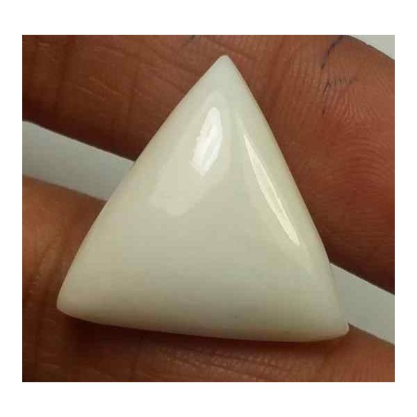 14.83 Carats Italian White Coral 19.52 x 19.42 x 5.51 mm