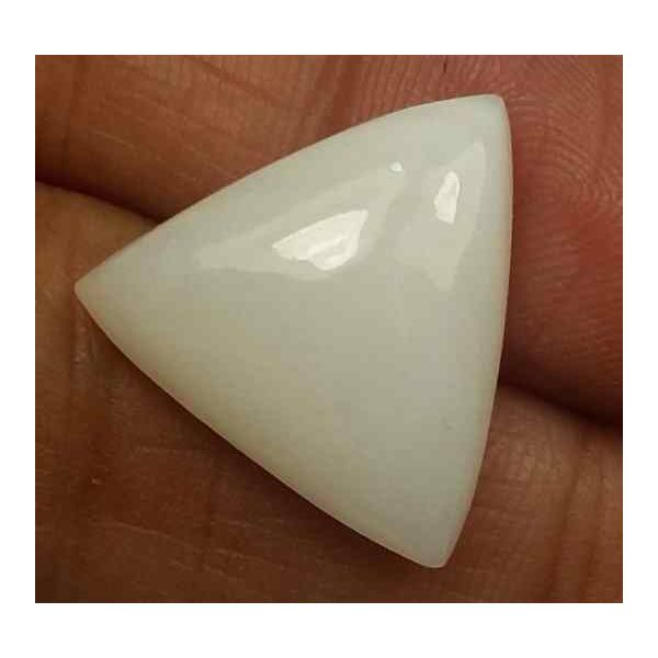 6.91 Carats Italian White Coral 15.33 x 14.96 x 4.10 mm