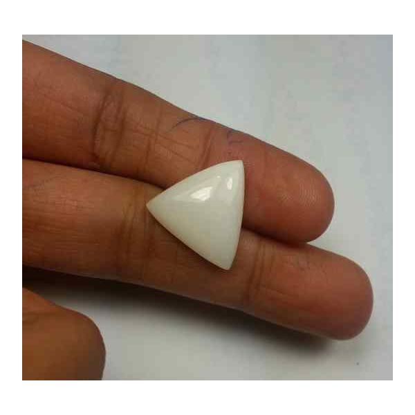 10.78 Carats Italian White Coral 16.75 x 16.23 x 5.34 mm
