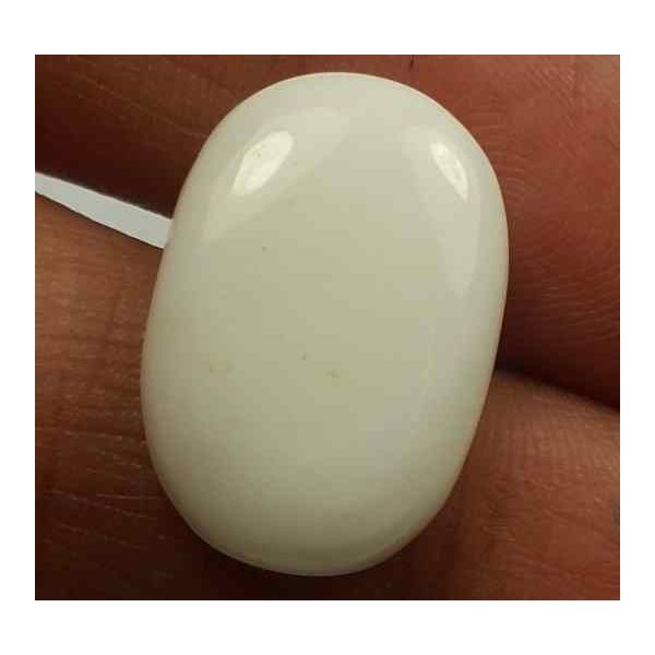 11.71 Carats Italian White Coral 16.73 x 13.06 x 5.15 mm