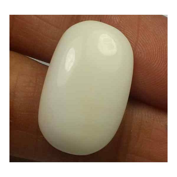 15.71 Carats Italian White Coral 17.52 x 9.80 x 8.61 mm