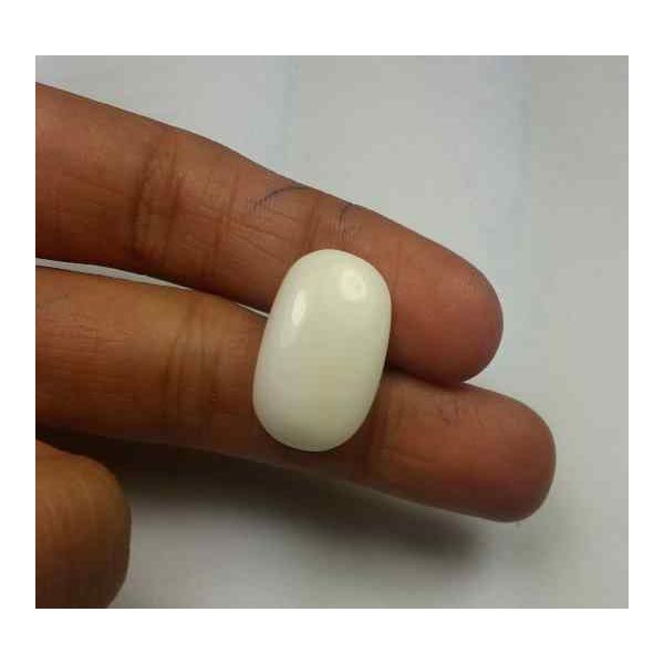 13.61 Carats Italian White Coral 16.70 x 9.87 x 8.49 mm
