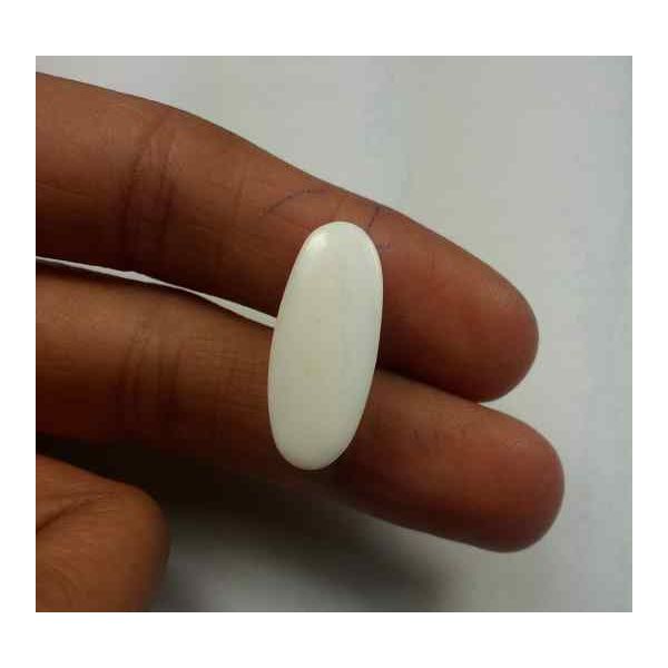 9.95 Carats Italian White Coral 20.85 x 8.70 x 6.42 mm