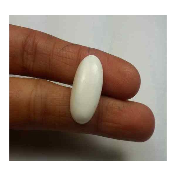 14.35 Carats Italian White Coral 22.64 x 11.95 x 4.84 mm