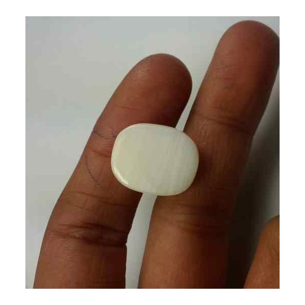 14.85 Carats Italian White Coral 16.95 x 14.23 x 5.72 mm