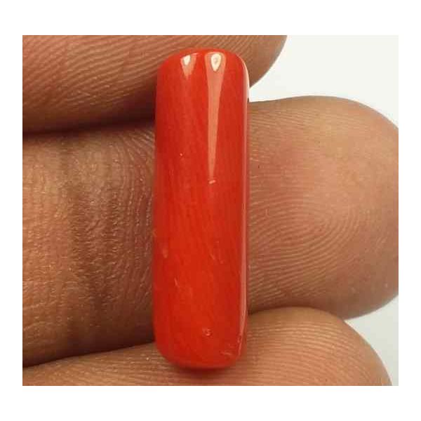 5.55 Carats Red Italian Coral 18.46 x 5.60 x 5.58 mm