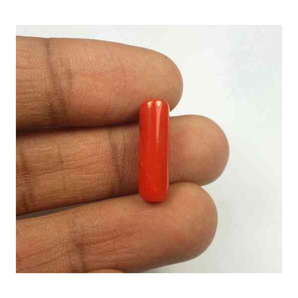 5.55 Carats Red Italian Coral 18.46 x 5.60 x 5.58 mm