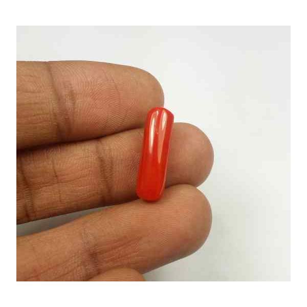 5.55 Carats Red Italian Coral 18.46 x 5.60 x 5.58 mm