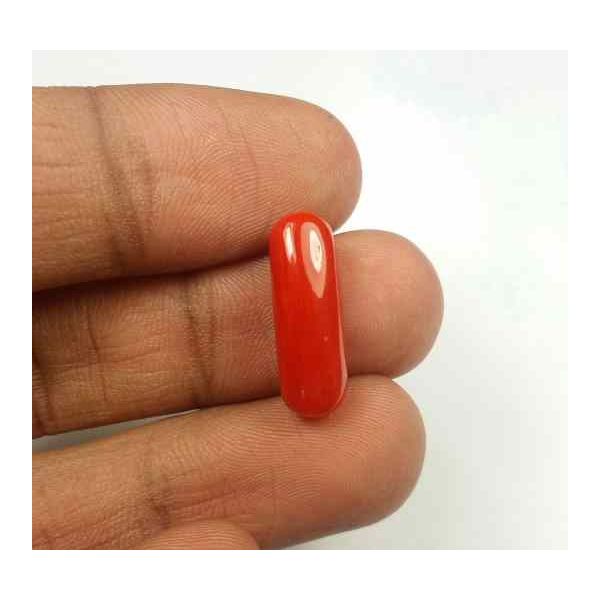 6.05 Carats Red Italian Coral 17.84 x 6.30 x 6.09 mm