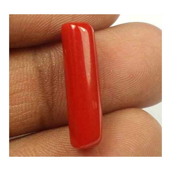 5.55 Carats Red Italian Coral 19.28 x 5.57 x 5.46 mm