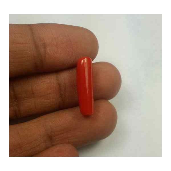 6.21 Carats Red Italian Coral 19.56 x 6.08 x 6.07 mm