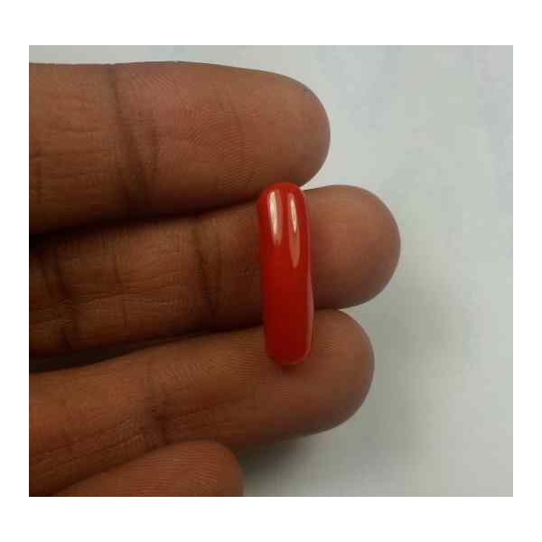 6.21 Carats Red Italian Coral 19.56 x 6.08 x 6.07 mm
