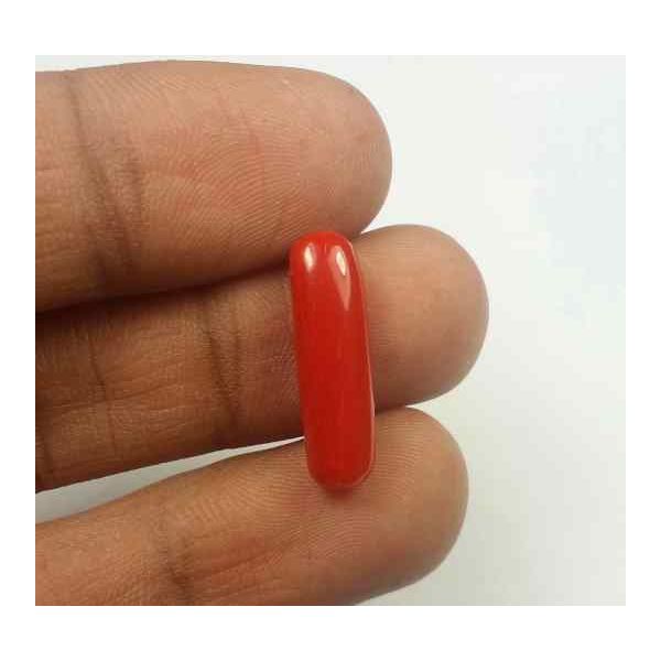 5.40 Carats Red Italian Coral 19.25 x 6.08 x 4.80 mm