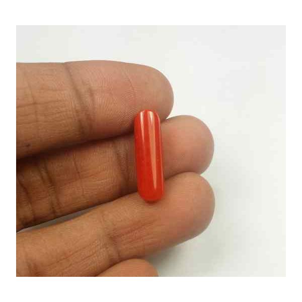 5.80 Carats Red Italian Coral 19.04 x 5.80 x 5.44 mm