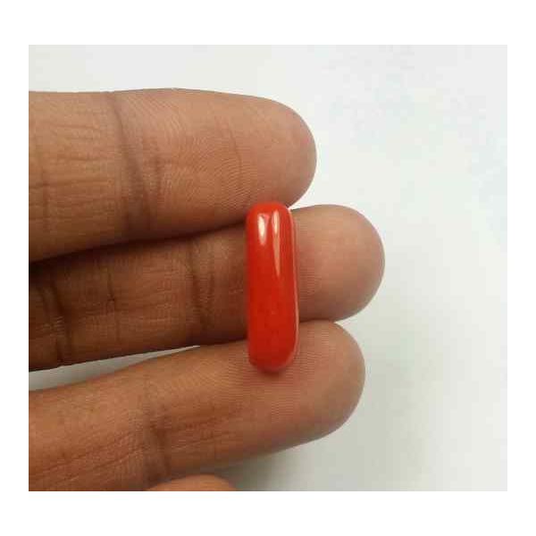 5.80 Carats Red Italian Coral 19.04 x 5.80 x 5.44 mm