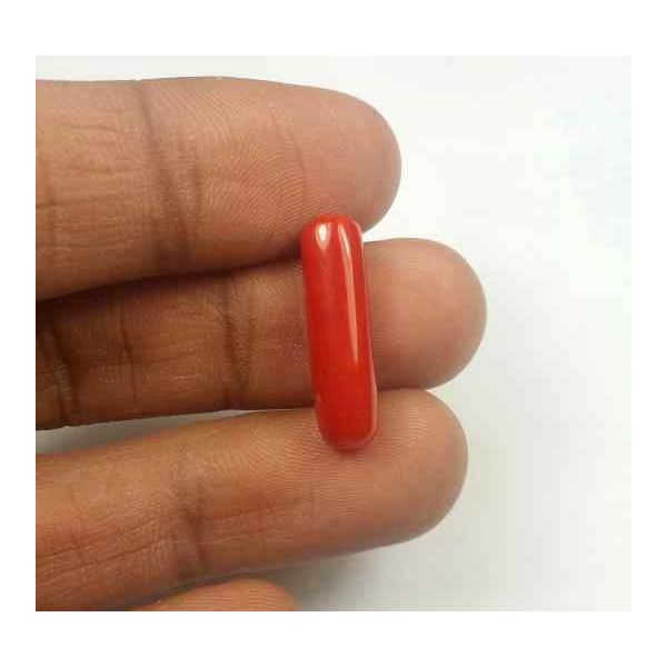 5.55 Carats Red Italian Coral 20.25 x 5.67 x 5.28 mm