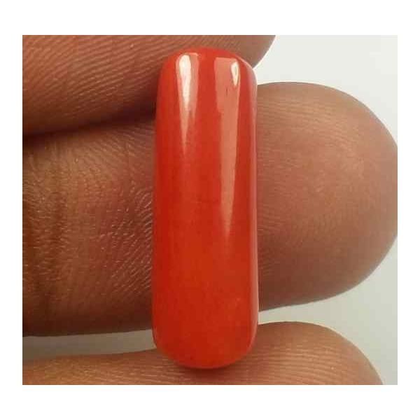 6.18 Carats Red Italian Coral 18.99 x 6.12 x 5.58 mm