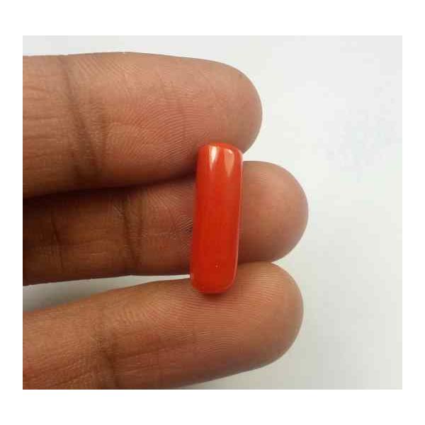 6.18 Carats Red Italian Coral 18.99 x 6.12 x 5.58 mm